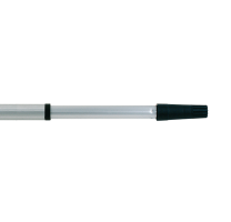 BOL00031