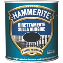 HAMMERITE05